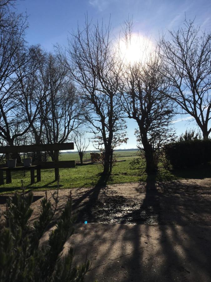 B&B Boerderij De TempelGreonterp エクステリア 写真